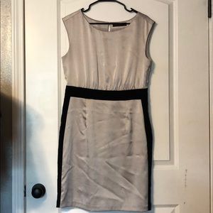 The Limited Silver Dress Black Colorblock